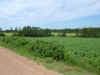 Prince Edward Island eller Sams?