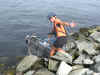 Kristen dypper sin cykel i Atlanterhavet